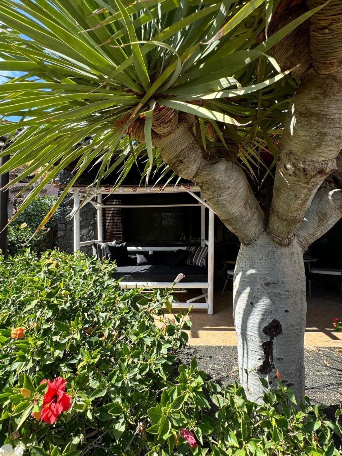 Castillo Lanzarote Villa Bailey - Luxury Villa - Pet Friendly With Heated Pool La Asomada  Esterno foto